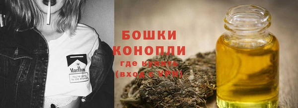 ешки Богданович