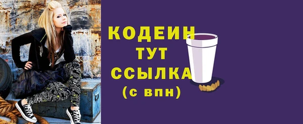индика Бугульма