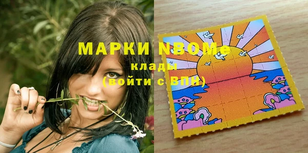 индика Бугульма