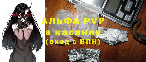 ешки Богданович