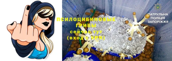 скорость Богородицк