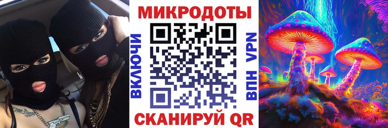 Псилоцибиновые грибы Cubensis  закладка  Далматово 